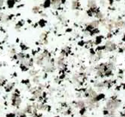 white black flower (NG-2033)