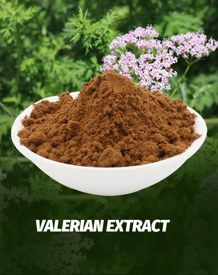 Valerian Root Extract