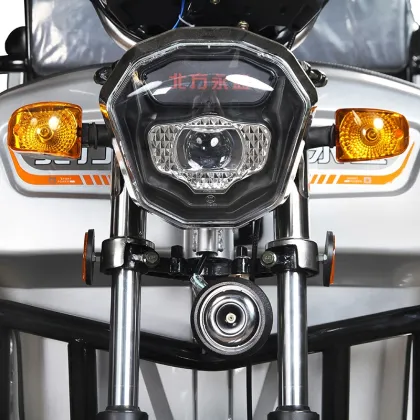 Affordable Adult Motorized Tricycles and Scooters