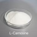 L-Carnosine amino acid supplement