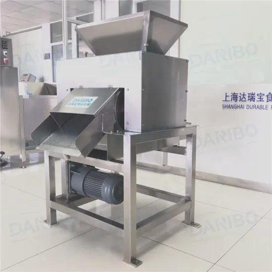 2023 Hot Sale Commercial Lime Juice Orange Juicer Lemon Extractor