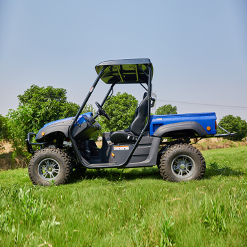 Lvcci 72V 2 Seater Electric Buggy UTv for Farm