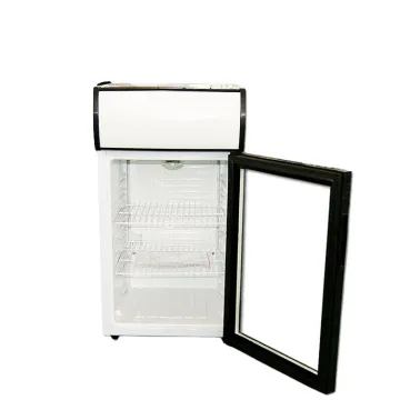 20L-100 Mini Ice Cream Display Freezer and Beverage Fridge