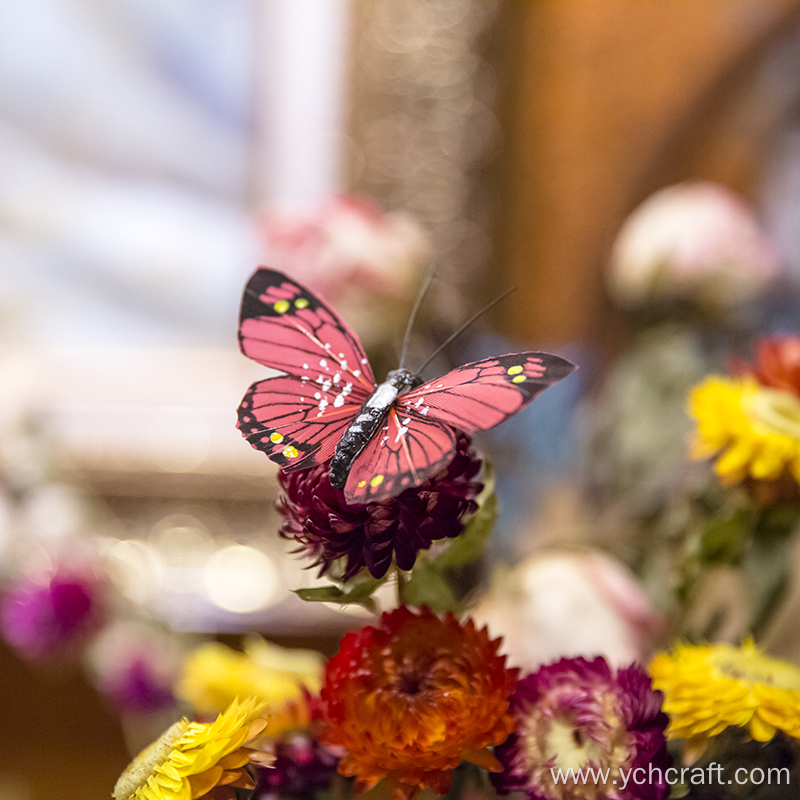 Butterfly decoration on wall