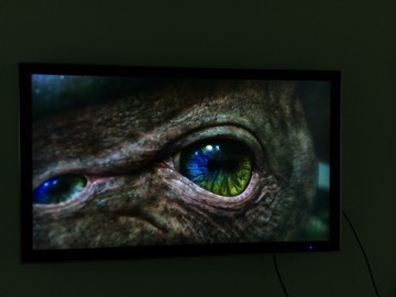 4K screen glasses free 3D wholesale, naked eye 3D advertising player 50inch
