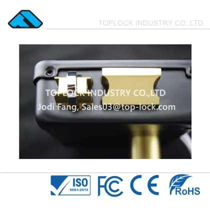 Electric Lock Gate 12V Electronic Rim Lock for Left Open Door