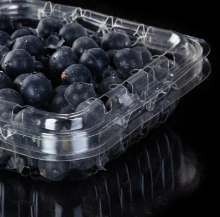 PET Plastic Clear Disposable Blueberry Punnet