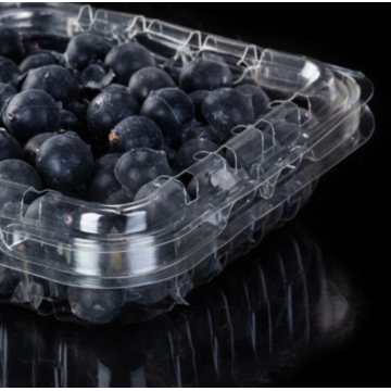 Transparente Blueberry Box Packaging Cleamshell desechable
