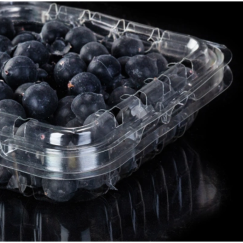 Kemasan kotak blueberry transparan clamshell sekali pakai