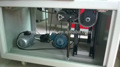 SK-W250 bean sprout packing machine