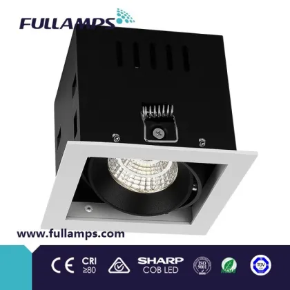 Fullamps light fixture framed ein Kopf Lichtsvorrichtung W/S excl. Electronic Transformer