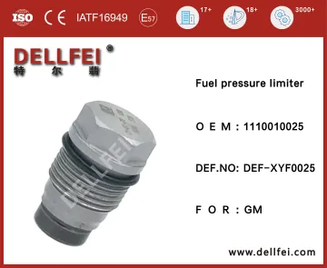 Pressure Limiting Valve 1110010025 for GM
