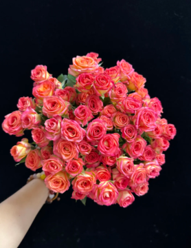 Multi-Headed Summer Dance Rose in Red and Orange