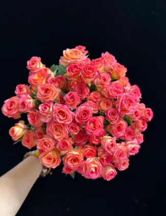 Multi-Headed Summer Dance Rose in Red and Orange