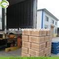 Factory Supply natuurlijke prijs Fruit Goji Berry