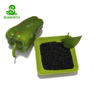 Organic Potassium Humate Soil Conditioner: Enhancing Soil Health Naturally