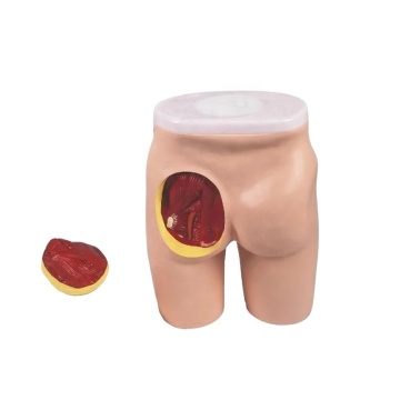 Darhmmy Advanced Medical Science Modèle d'entraînement à l'injection musculaire gluée