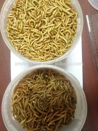 Natural pet food type dried mealworm