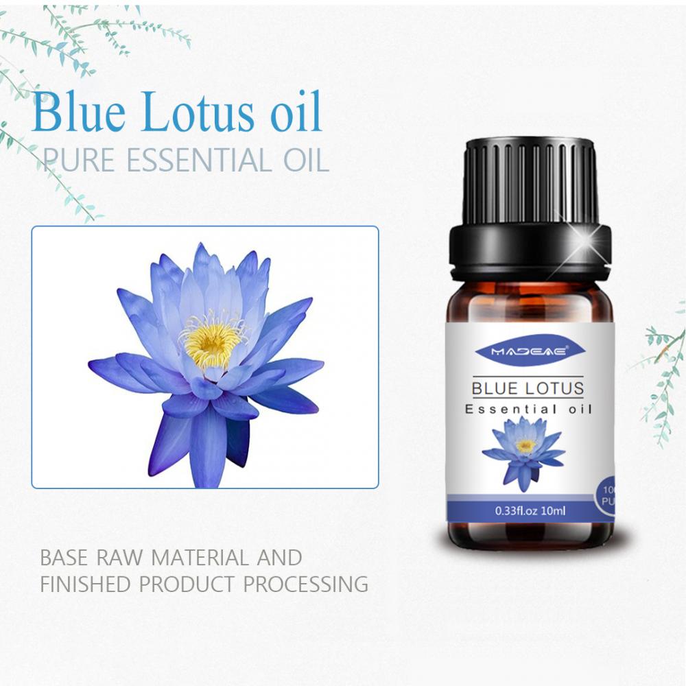 Bulk sale blue lotus essential oil for diffuser