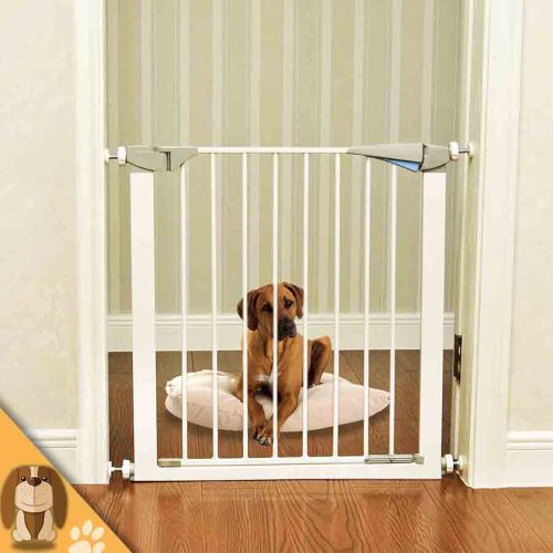 Two Sides Open Metal Safety Gate