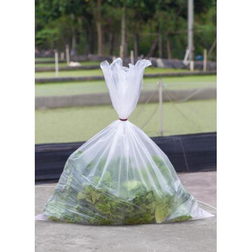 Plastic Bag for Vegetable