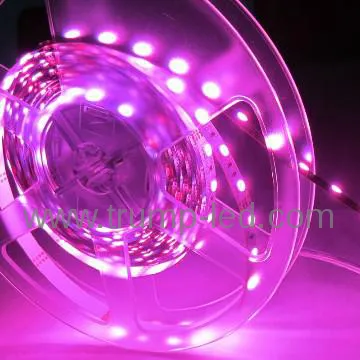 wholesale net christmas lights christmas lighting christmas led lights