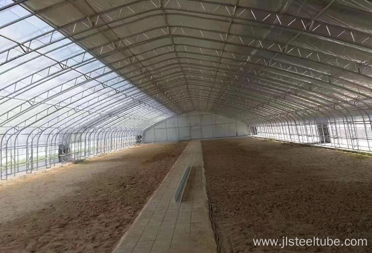 Winter greenhouse galvanized pipe for agricultural film