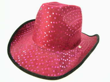 fashion hat.HG-B007