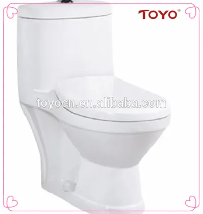 Colour Baby Toilet