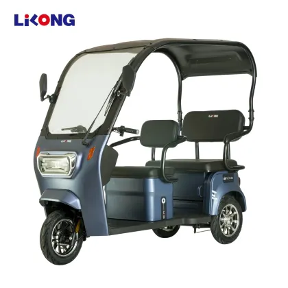 Lilong City Electric Bike E-Bike E Battery