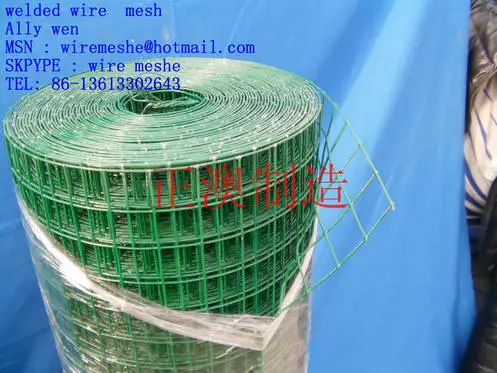 Electro Galv Welded Wire Netting
