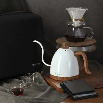 Brewista 600ml Stainless Steel Thin Mouth Hand Drip Coffee Kettle for Specialty Coffee