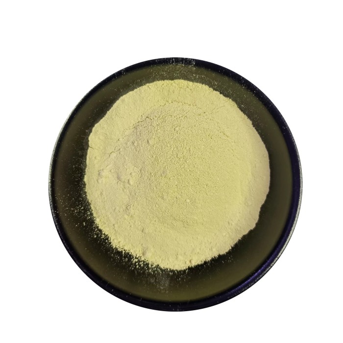 Rutin Powder Extract for Tablets and Capsules