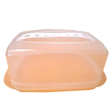 Decorative Christmas Cake Boxes Plastic Cake Packaging Box