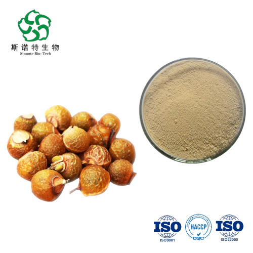 Soapnut Extract Powder Bulk Supply Herbal Sapindoside Powder Soapnut Extract Supplier