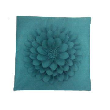 Pillow with Various Designs