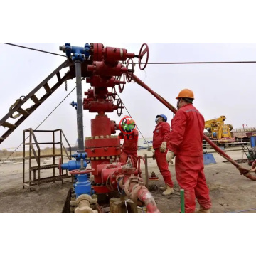 API 6A Wellhead Production Tree