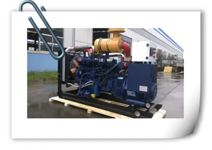 Biomass Gasifier With Biomass Generator