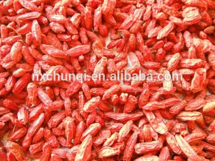 NingXia red fresh goji berries/goji berry with lowest price