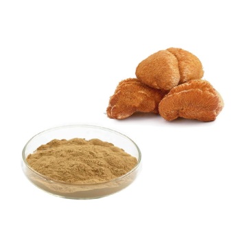 Natrual lion's mane mushroom extract