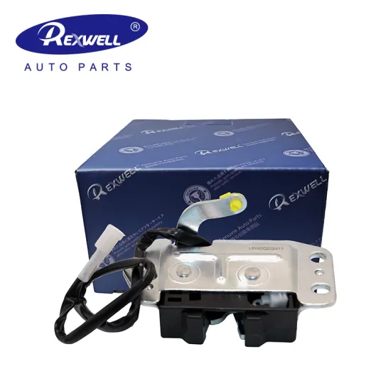 New Genuine Car Rear Back Tailgate Tail Door Lock for Toyota Hiace Dyna RZH11# 69350-95J01 69350-95J02