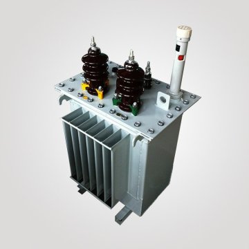 หม้อแปลงขนาด 10kV เดี่ยวขั้ว