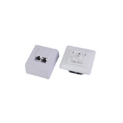 Dual UTP/STP Cat.5e/6 Face Plate