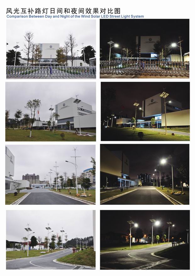 Wind Solar Street Light/ (LED Lighting)