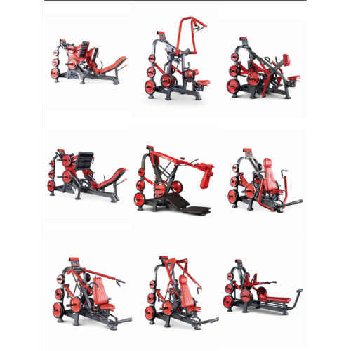 Biceps Curl For Bodybuilding Exercise arms Work biceps