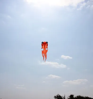 Red Wheel Kite Reel Winder for 100M Twisted String - Kite Accessories for Outdoor Play