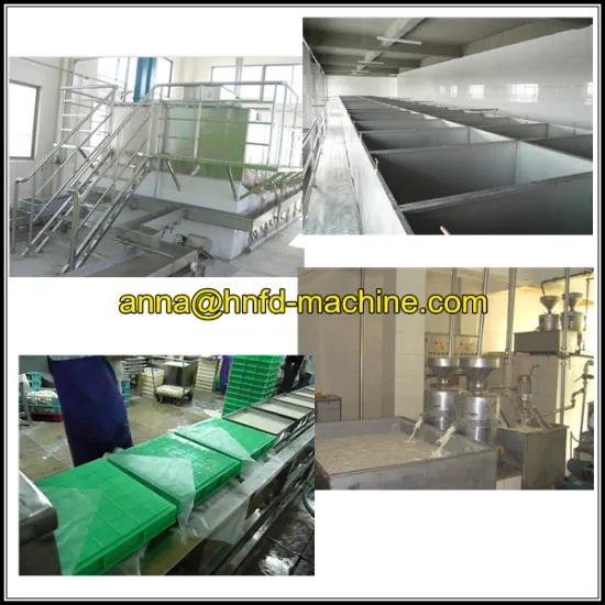 Automatic tofu production line