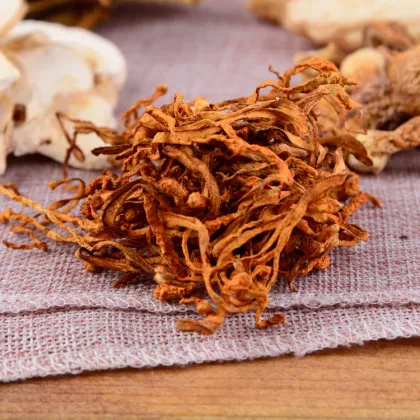 Wholesale Tricholoma matsutake, yellow head fungus, boletus, morel, razor clam