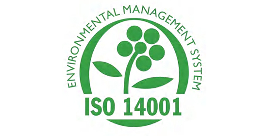 আন্তর্জাতিক সার্টিফিকেশন