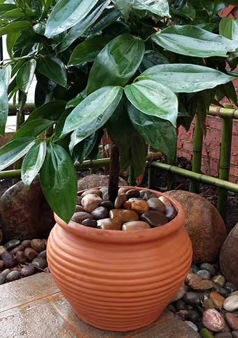 Ceramic birdbath.